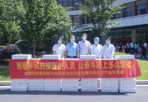 金鹏助力凤阳县白云村乡村振兴 爱心甜瓜致敬亭城奋斗者