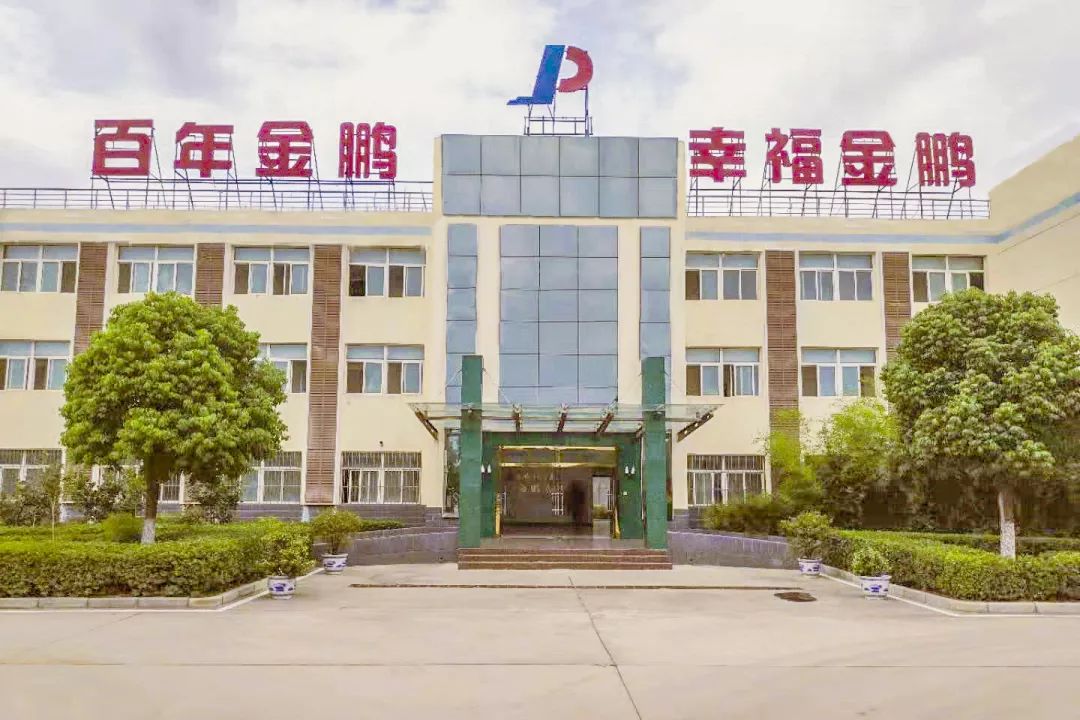 金鹏控股集团党委书记,董事长孙元武荣获2019安徽十大年度经济人物_发