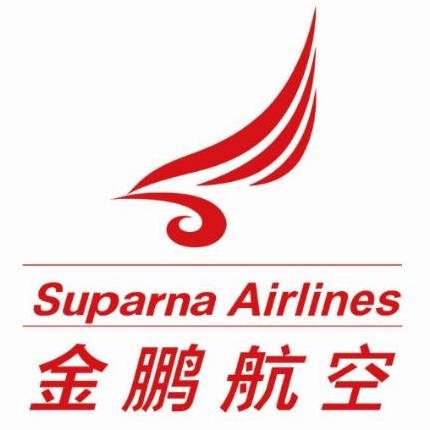 海航集团金鹏:腹舱运力全面恢复,客货并举稳步发展_航空