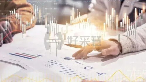 企业集中采购适用范围和特点有哪些