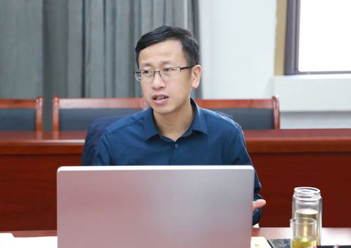 精细化管理 标准化运营 金鹏控股集团组织召开综合运营管理启动会