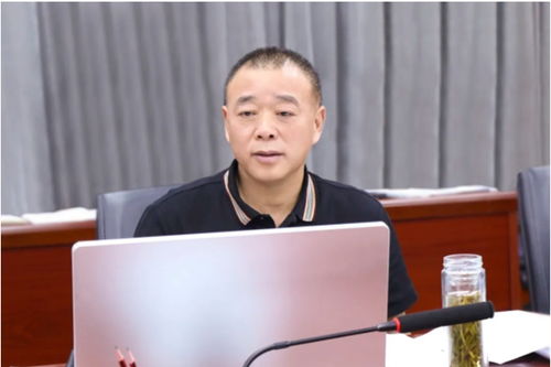金鹏控股集团综合运营管理启动会成功举行