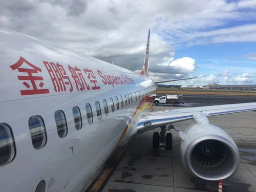 金鹏航空3月25日起开通合肥至深圳 烟台航线