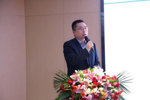 正是扬帆搏浪时 金鹏地产集团2020年度工作会议圆满召开