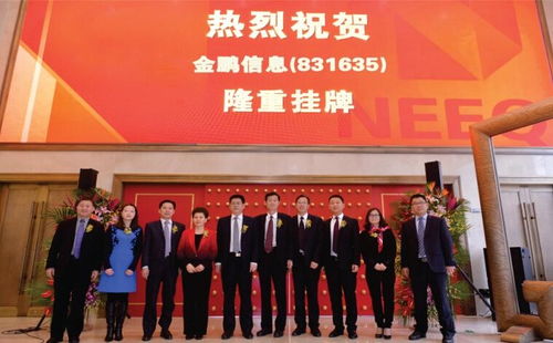 河南金鹏信息技术