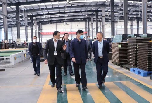 蚌埠怀远县领导一行莅临金鹏考察指导，共谋合作发展新篇章