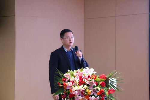 正是扬帆搏浪时——金鹏地产集团2020年度工作会议圆满召开